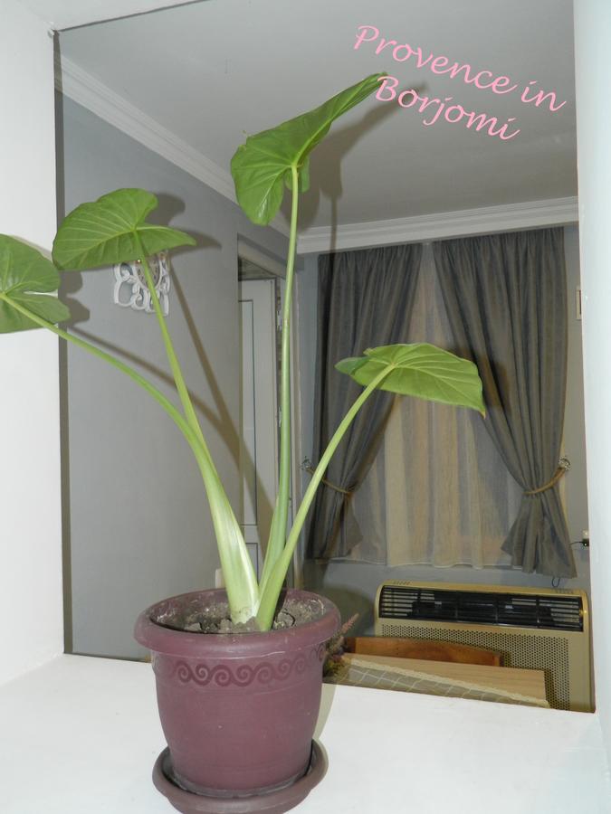 Nikas Guest House Bordżomi Zewnętrze zdjęcie
